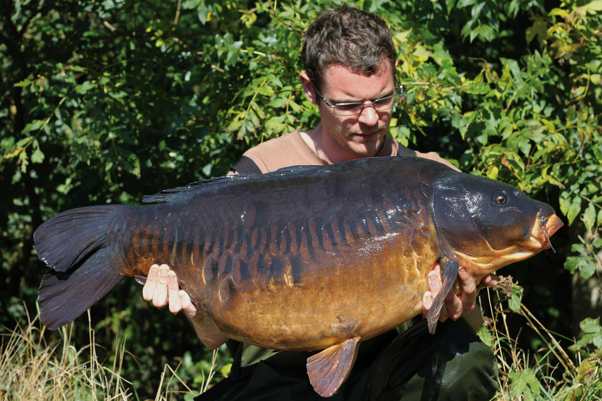 ISSUE 1 ARCHIVES - Scott Karabowicz - Scratching the Surface Pt3