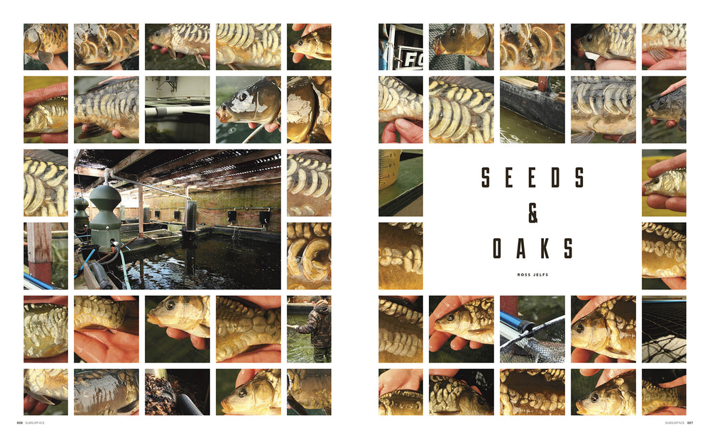 ISSUE 1 ARCHIVES - Ross Jelfs 'Seeds and Oaks' Part 1