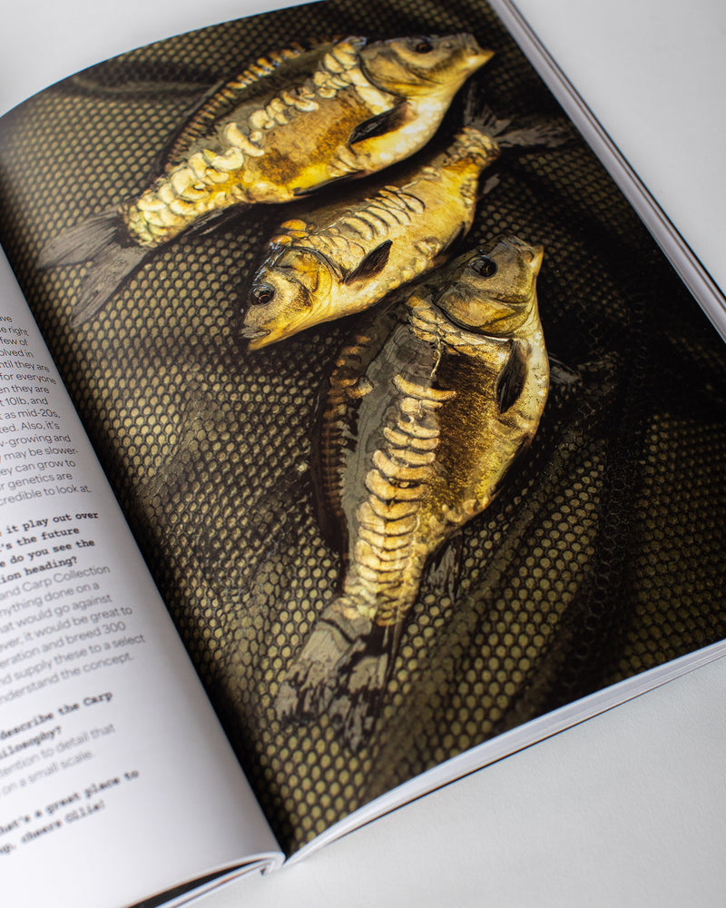 
                  
                    Charger l&amp;#39;image dans la galerie, SUBmag Issue 4
                  
                