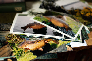 
                  
                    Laden Sie das Bild in den Galerie-Viewer, ADRIFT - 35 YEARS IN SEARCH OF CARP | Gareth Fareham
                  
                