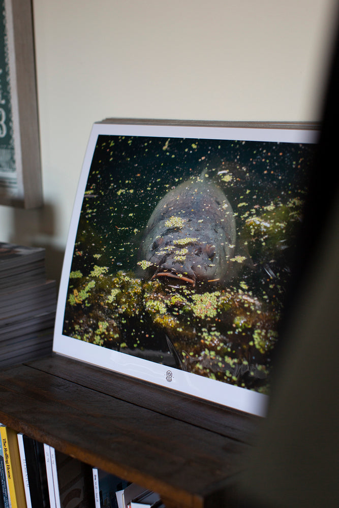 PRINT – Subsurface Journal