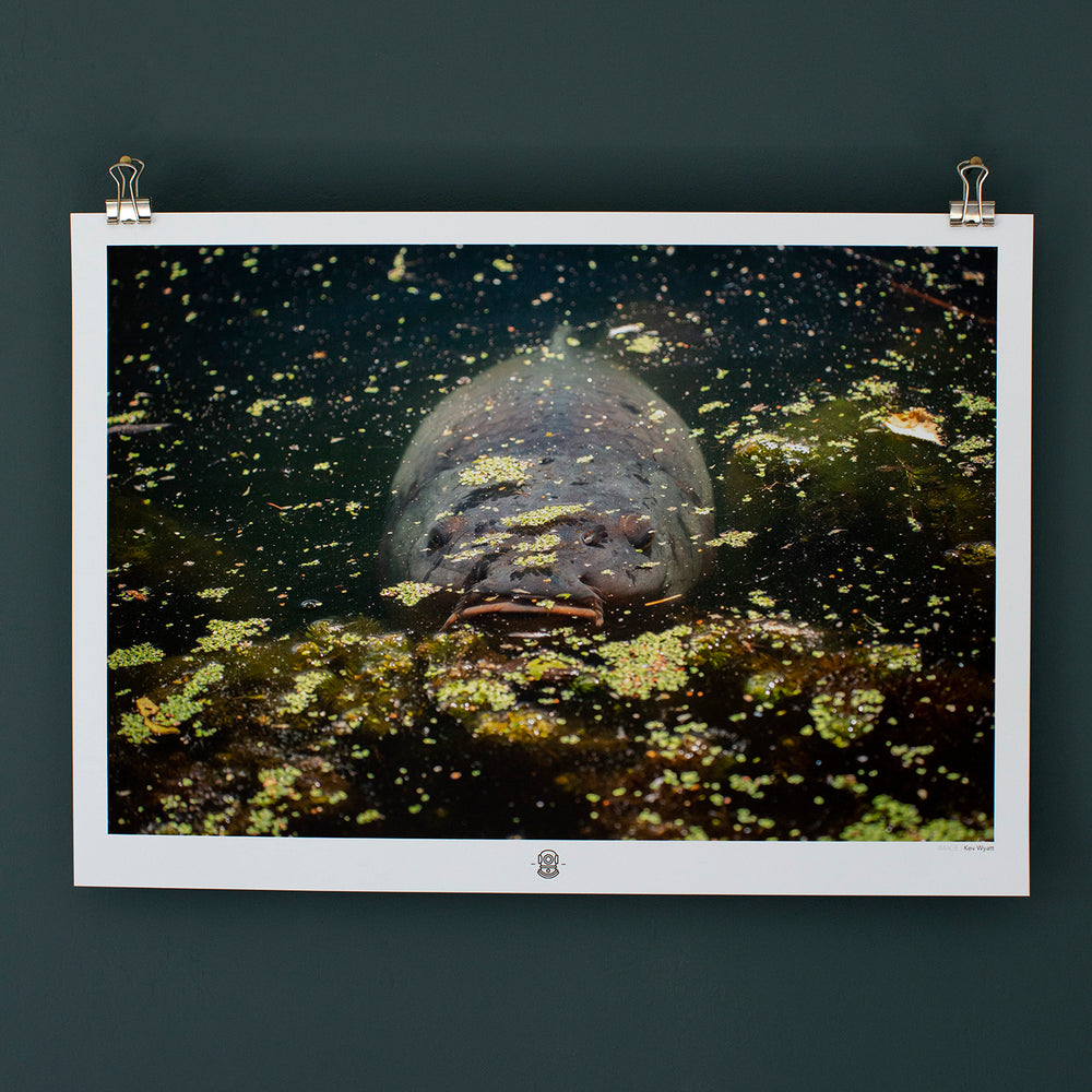 PRINT – Subsurface Journal