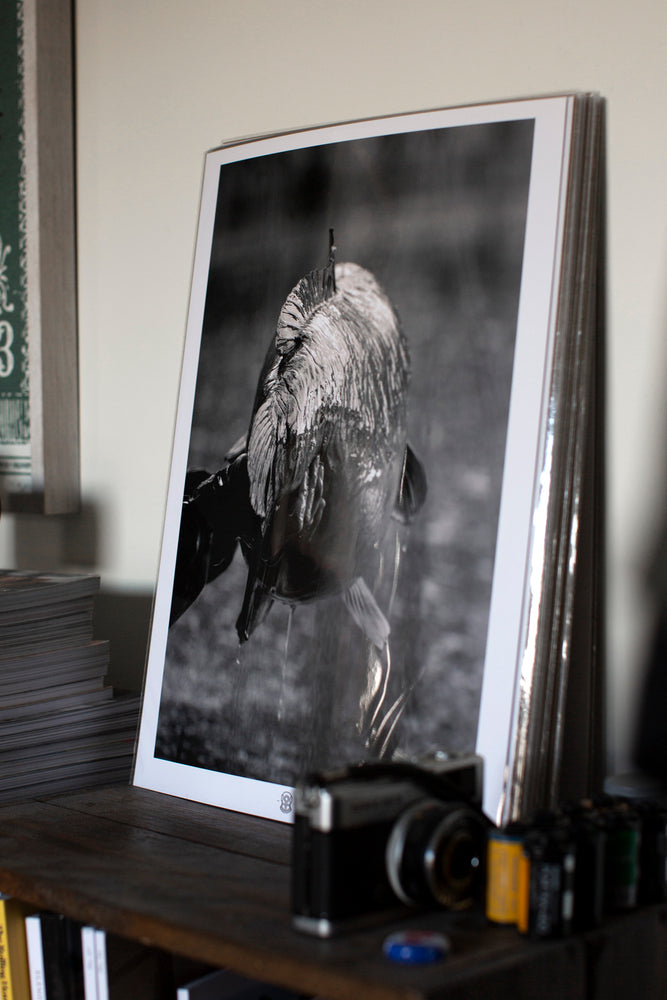 
                  
                    Laden Sie das Bild in den Galerie-Viewer, ISSUE 1 COVER A3 ART PRINT - DAN YEOMANS
                  
                