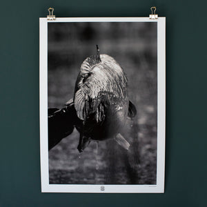 
                  
                    Laden Sie das Bild in den Galerie-Viewer, ISSUE 1 COVER A3 ART PRINT - DAN YEOMANS
                  
                