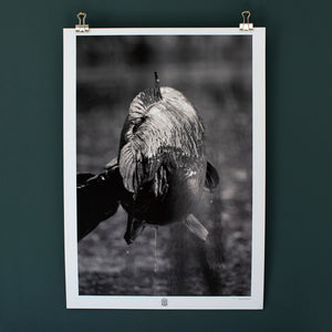 
                  
                    Load image into Gallery viewer, ISSUE 1 COVER A3 ART PRINT - DAN YEOMANS
                  
                